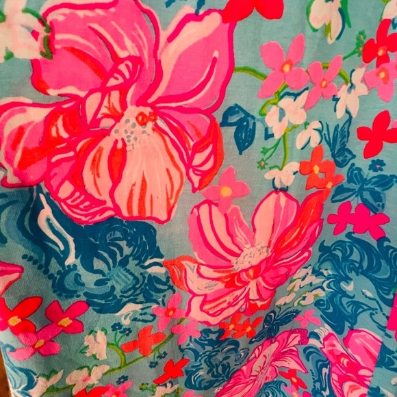 Lilly Pulitzer nwt! gorgeous dress! sz S - Picture 5 of 8